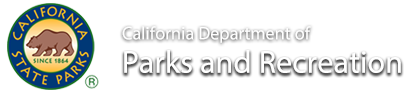 Organization Title